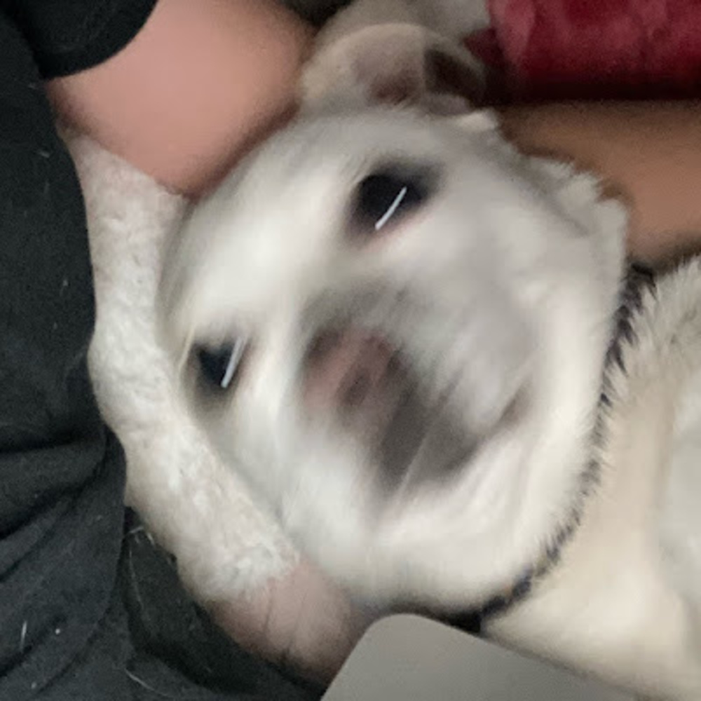 Meet your Posher, Emily